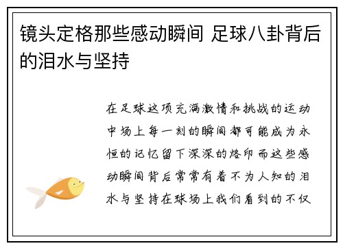 镜头定格那些感动瞬间 足球八卦背后的泪水与坚持