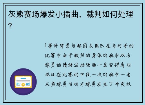 灰熊赛场爆发小插曲，裁判如何处理？